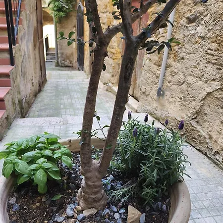 Casa Damarete *
